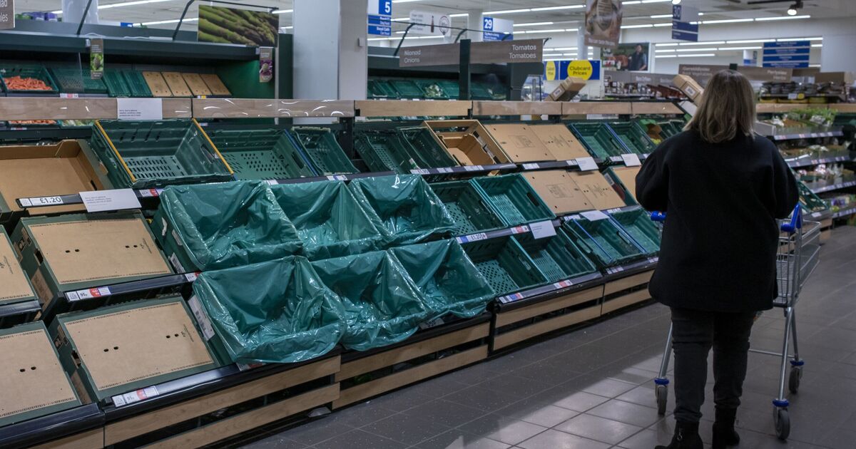 Food shortage warning will 'make Covid look like tea party' | World | News