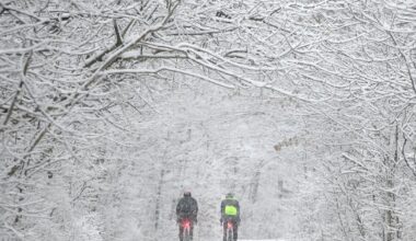 Ontario braces for Sunday storm bringing messy mix of up to 30 cm of snow, freezing rain and showers - Inside Halton