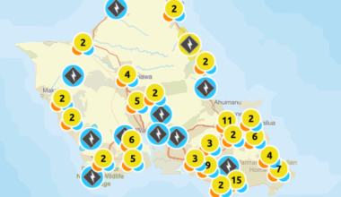 Over 121,000 Hawaiian Electric customers left in the dark amid Kona low storm | Local
