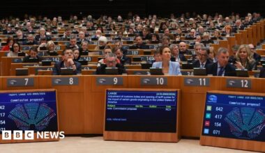European parliament interior shot showing a plenary session in which the EU/US trade deal was greenlight, pending some conditions.