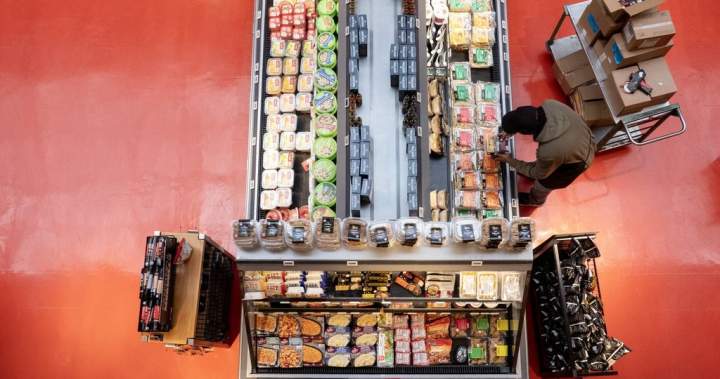 Ottawa launches trade inquiry into imported frozen, canned vegetables - National