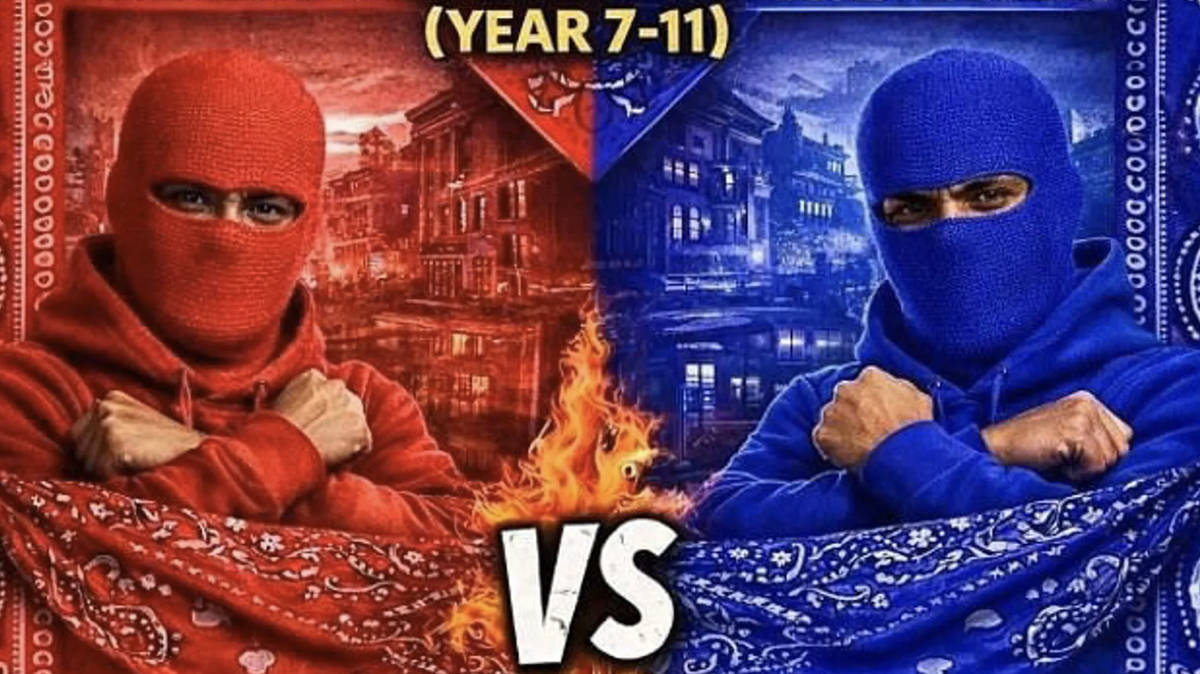 Man and boy arrested after viral 'school wars' videos encourage teens from rival schools to attack each other with knives