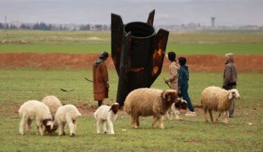 Here's how the Middle East war is affecting countries