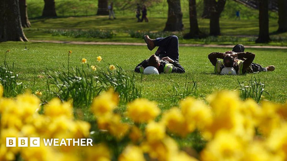 men using their hard hats as pillows lying down on grass in a park enjoying the warm and sunny weather surrounded by daffodils.