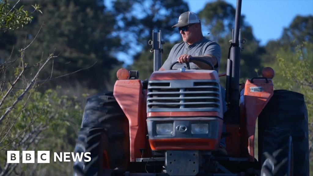 As Iran war continues, US farmers absorb rising costs