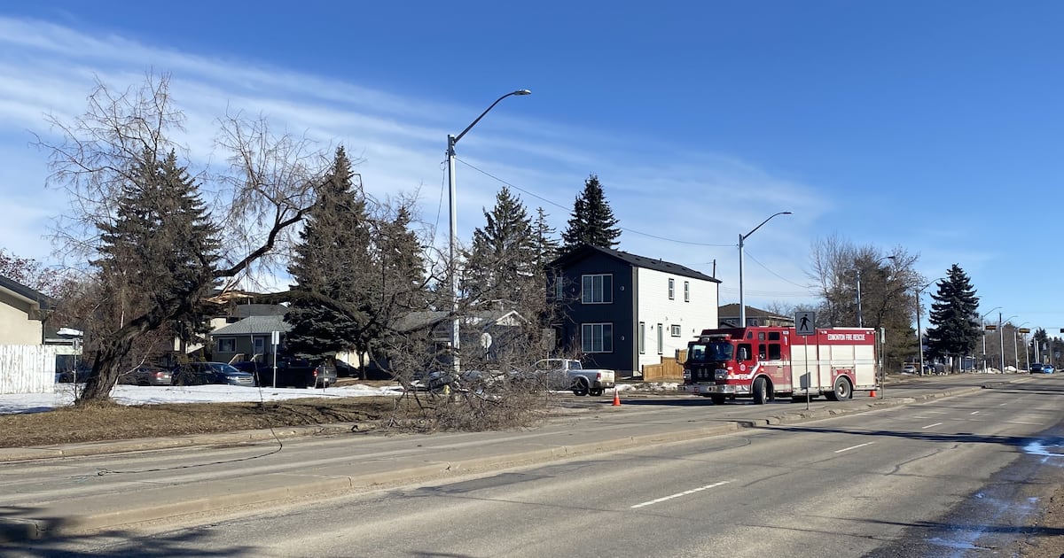 Hundreds without power due to high winds: EPCOR - CTV News
