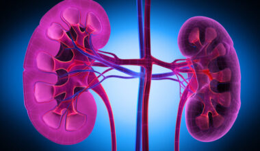 Vertex says drug reduced marker of kidney disease in late-stage trial