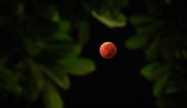 ‘Blood moon’ visible across Canada overnight, early morning: NASA