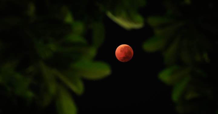 ‘Blood moon’ visible across Canada overnight, early morning: NASA