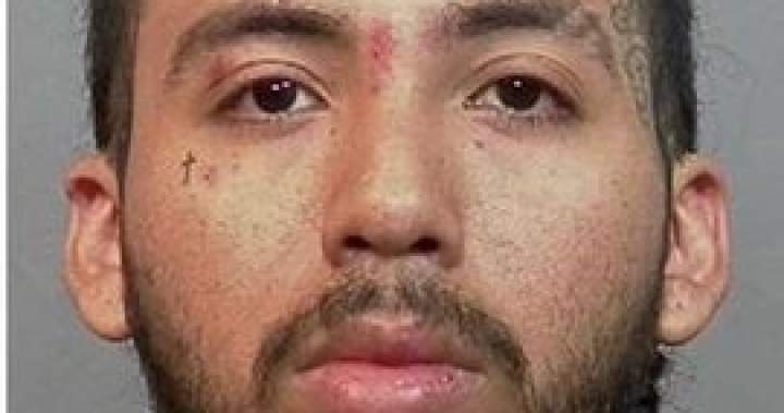 Canada’s most wanted fugitive arrested over fatal Yorkdale mall shooting