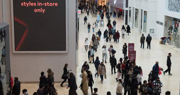 Ford government to allow shopping on 2 public holidays across Ontario