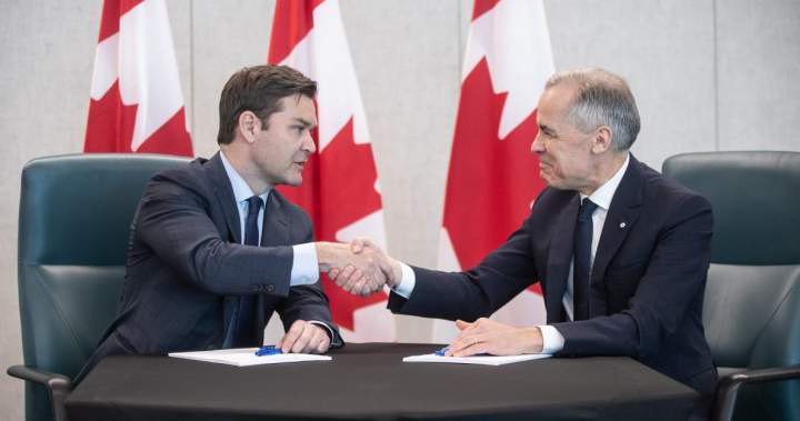 Canadians want floor-crossing MPs to face ‘immediate’ byelections: poll - National