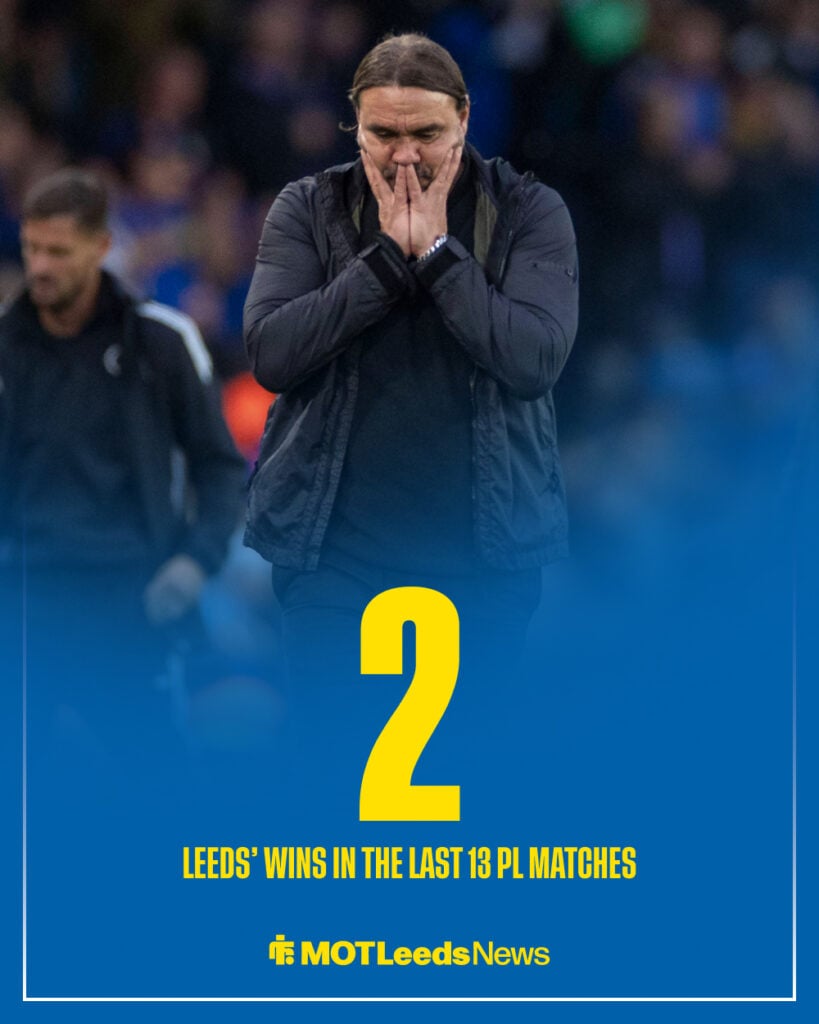 Daniel Farke is present during the Premier League match between Leeds United and Newcastle United at Elland Road.