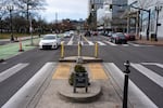 Mill Ends Park, the smallest park in the United States and once the smallest park in the world, occupies part of a crosswalk in Portland, Ore., on March 9, 2026.