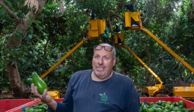 IDF probe finds farmer killed in north was hit by Israeli shelling, not Hezbollah