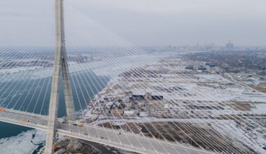 Canadian with criminal history arrested