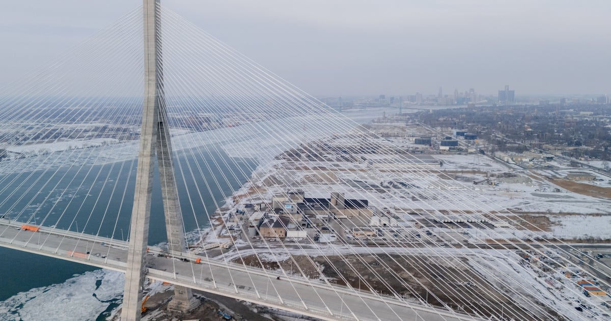 Canadian with criminal history arrested