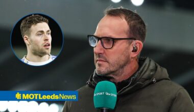 Mark Schwarzer reacts to 'crazy' Gabriel Gudmundsson scenes at Selhurst Park