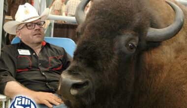 Did the Oilers do enough at the trade deadline?