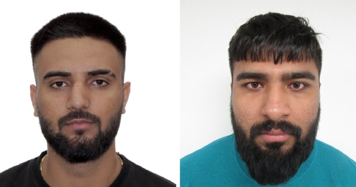 Extortion-related deportations up to 35, more than 370 investigations launched, CBSA says - CTV News