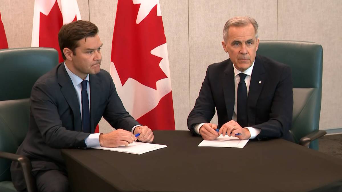 Click to play video: 'Jeneroux says ‘couldn’t sit on the sidelines’ after Carney’s Davos speech'