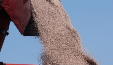 The Iran war threatens something more important than oil prices