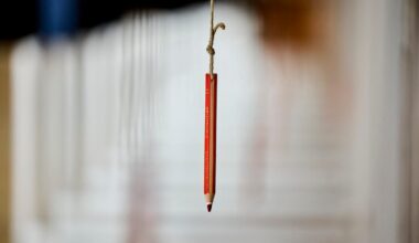 How to watch Denmark’s elections like a pro – POLITICO