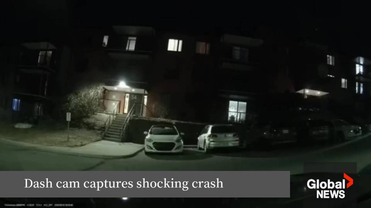 Click to play video: 'Halifax police investigating after dash-cam captures multi-vehicle collision'