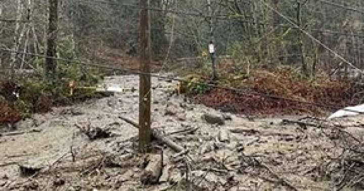 8 people, 2 dogs, 1 cat rescued after homes cut off by landslide near Coquitlam River - BC