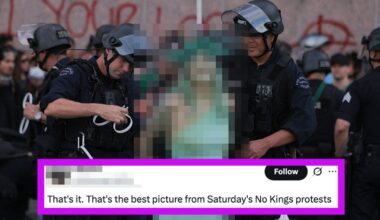 A Protester Dressed As This American Symbol Got Arrested, And Everyone's Saying The Same Thing - BuzzFeed