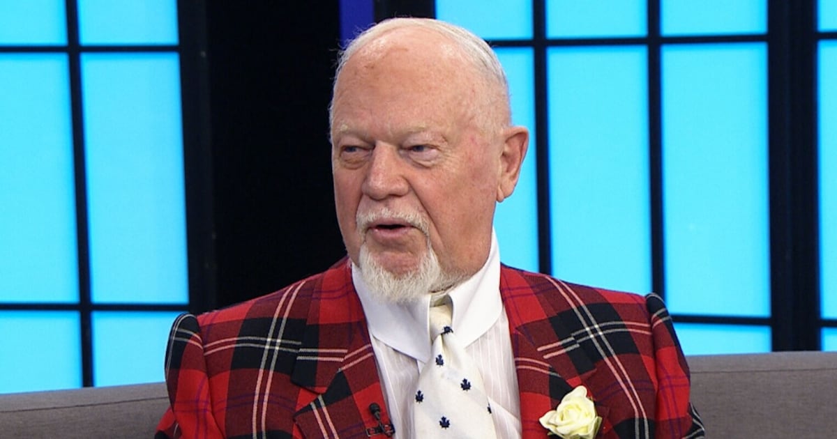 Don Cherry should not receive Order of Canada, say some Quebec Conservatives - CTV News