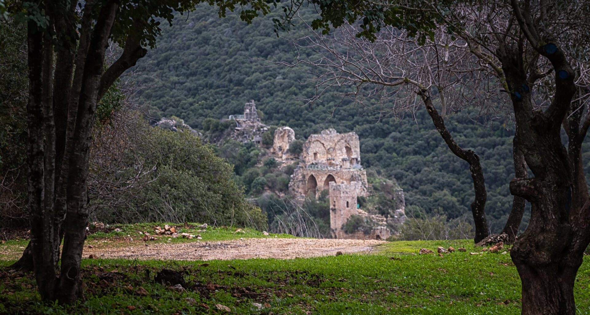 The Blogs: Choosing the North: Resilience as Israel’s Asset | Sharon Steinbaum