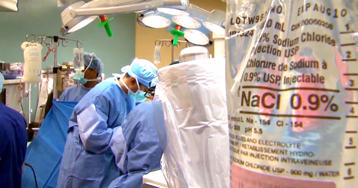 P.E.I. health advocates urge Ottawa to intervene on Alberta’s Bill 11 - CTV News