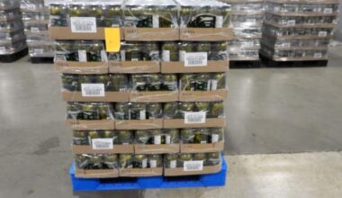 RCMP in B.C. intercept meth hidden in pickle jars bound for Australia