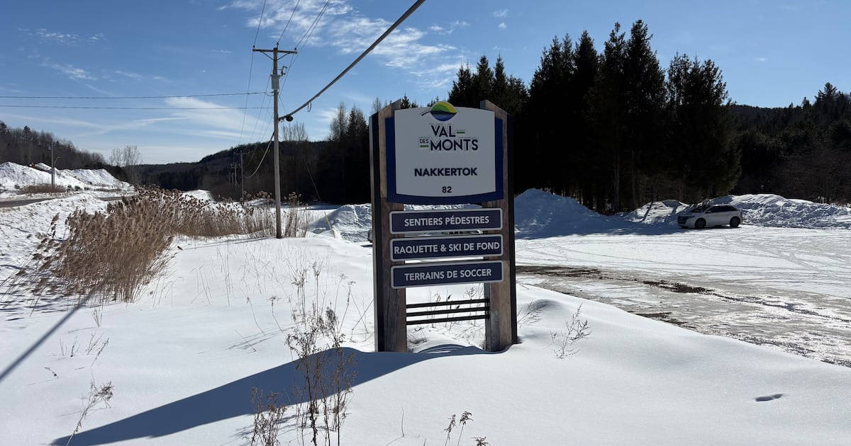 Girl dies after incident on western Quebec cross-country ski trail - CTV News