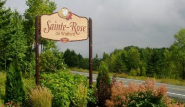 Child killed in school bus crash in Sainte-Rose-de-Watford, Que. near U.S. border - CTV News