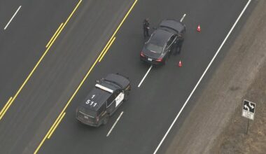 Redestrian killed in Caledon crash, driver not hurt