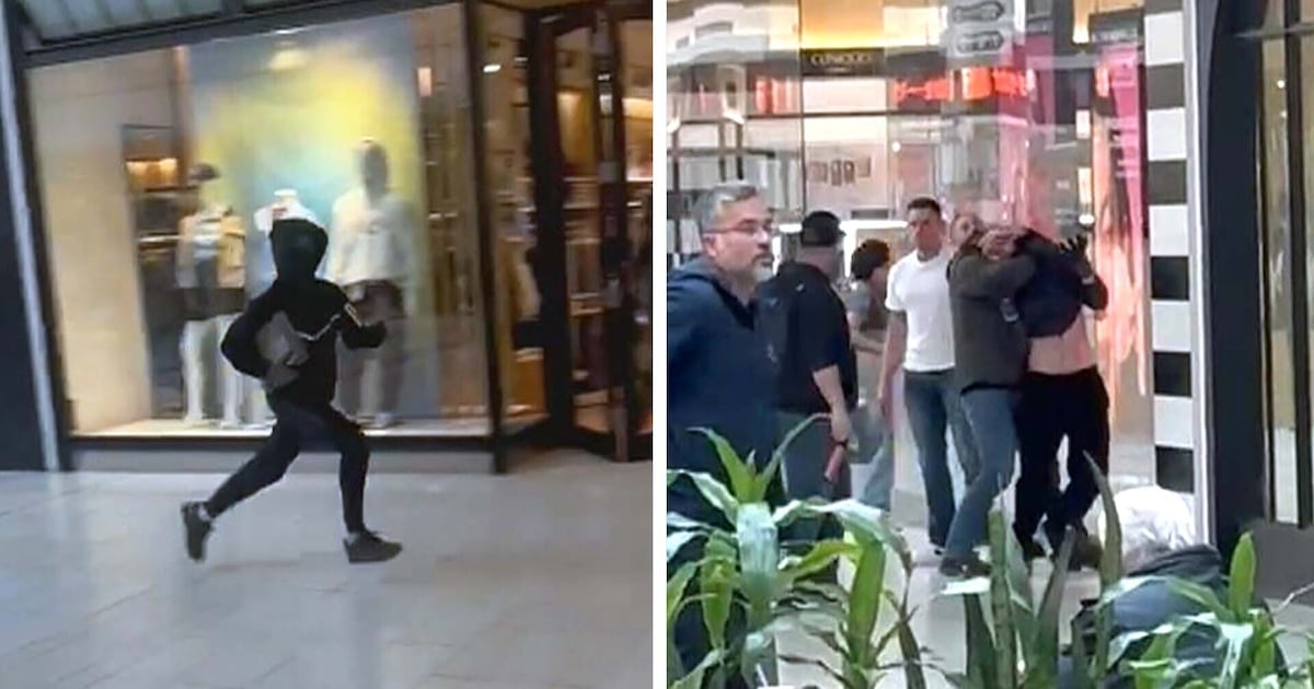 Oshawa jewelry store smash-and-grab: shopper subdues suspect