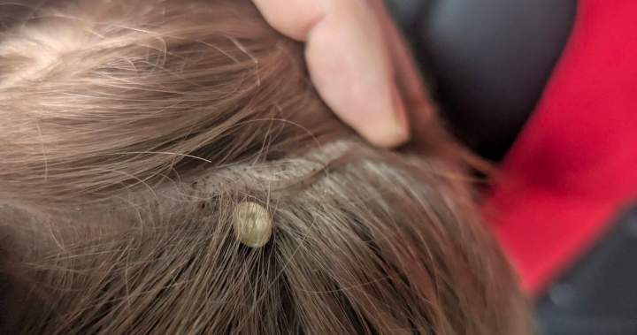 Merritt father warns others after medical emergency involving his young son - Okanagan