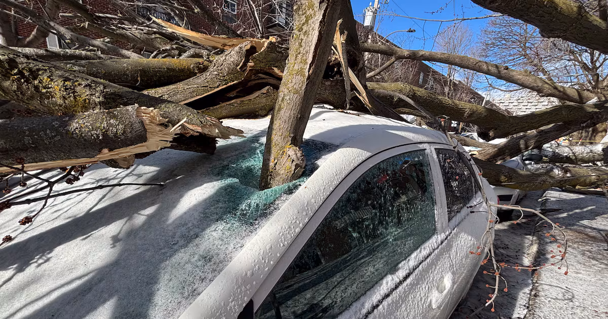 Strong winds cut electricity to hundreds of thousands of Quebec homes - CTV News
