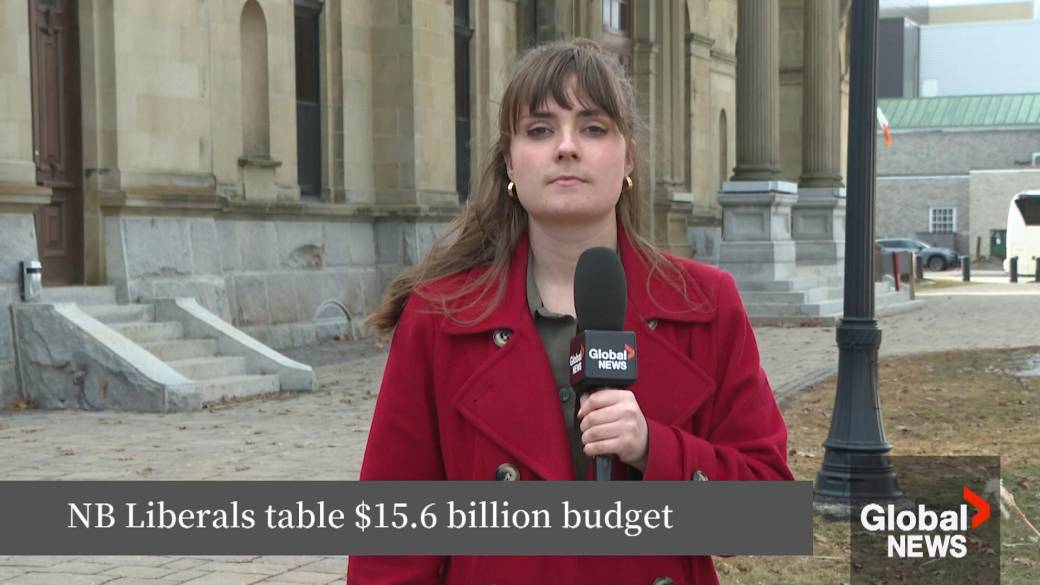 Click to play video: 'New Brunswick unveils budget, making cuts as deficit grows'