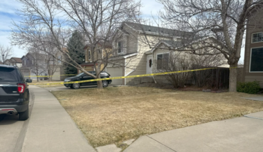 Denver defense attorneys weigh in on 11-year-old boy murder case