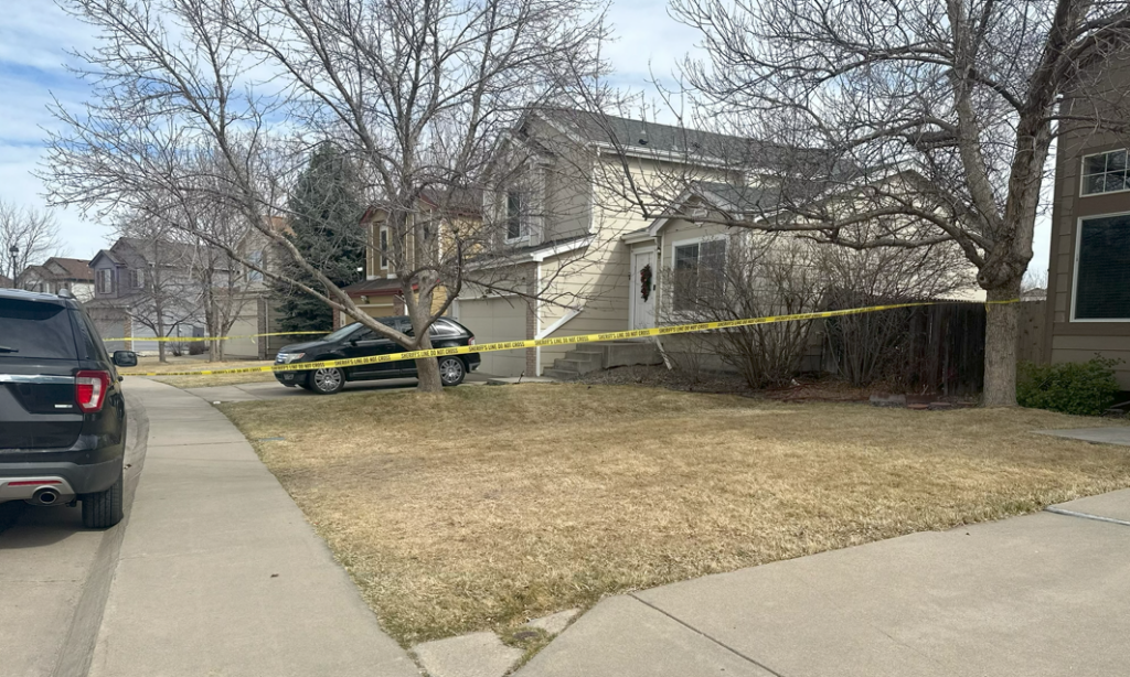 Denver defense attorneys weigh in on 11-year-old boy murder case