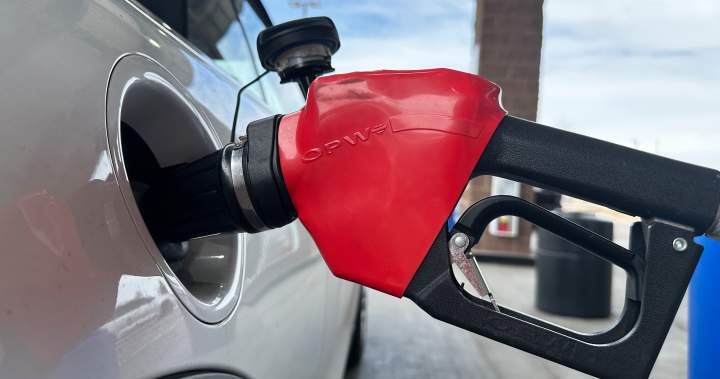 How Iran oil shock is spurring a crackdown to save energy around the world - National