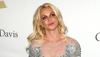 Britney Spears Arrested For Alleged DUI In California