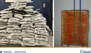 CBSA seizes more than 1K kilos of illegal cannabis