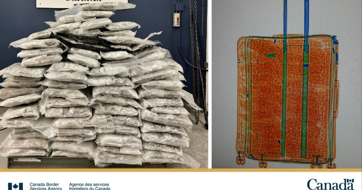CBSA seizes more than 1K kilos of illegal cannabis