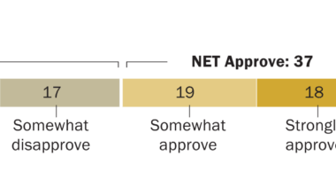 Americans Broadly Disapprove of U.S. Military Action in Iran