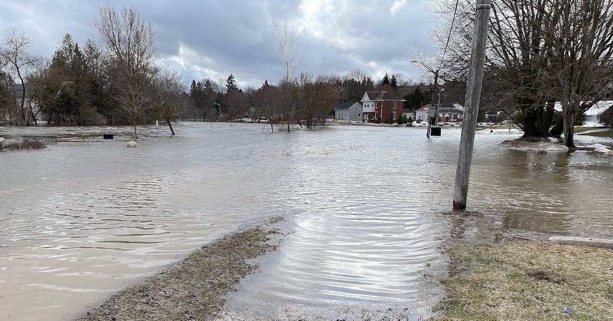 Increased flood risk expected in some regions of Canada: expert - CTV News