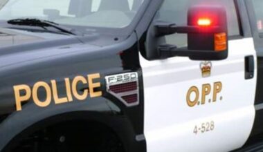 Driver killed in Hwy 7/12 crash nearSunderland